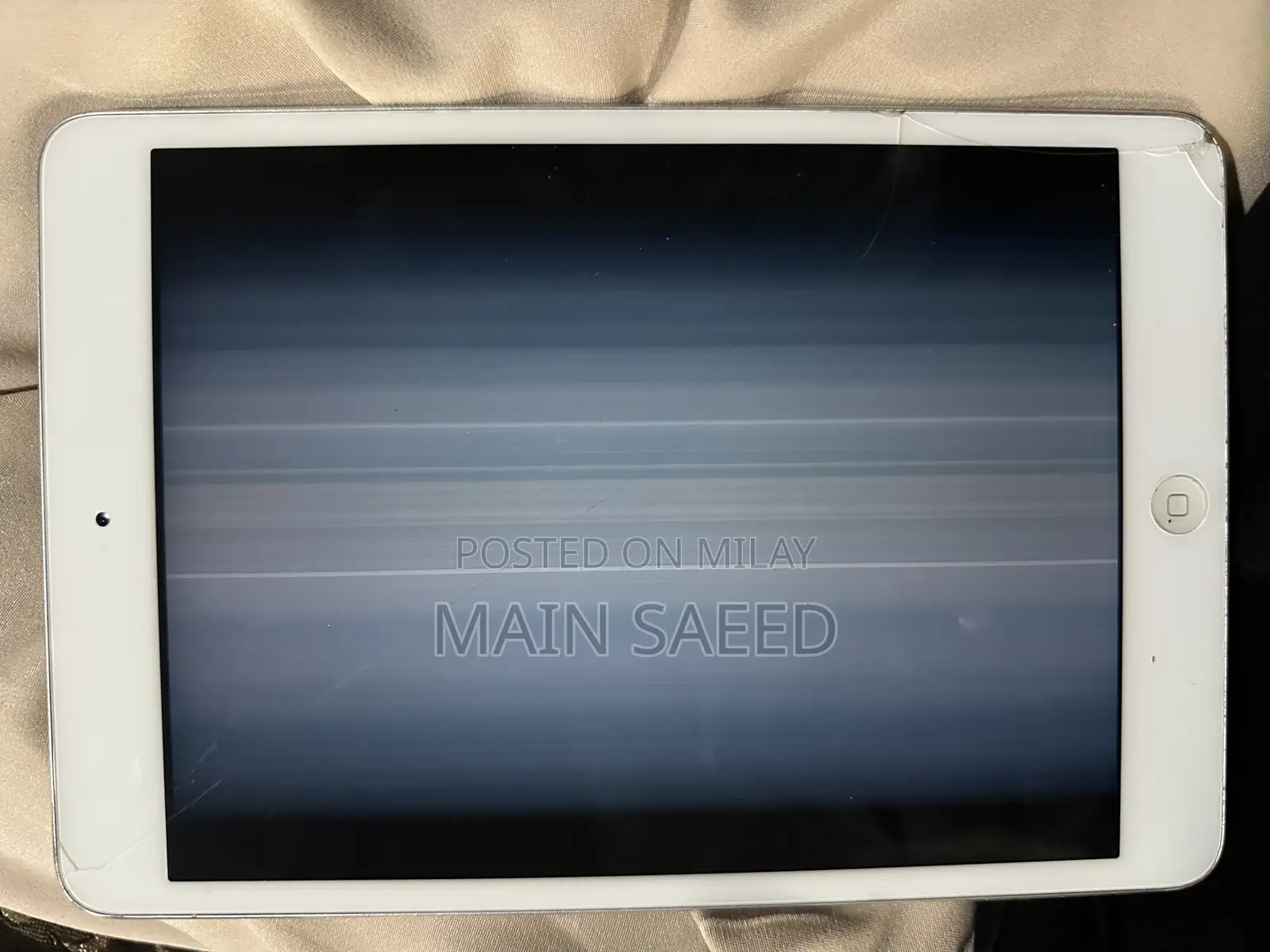 Apple iPad mini 2 16 GB Gray