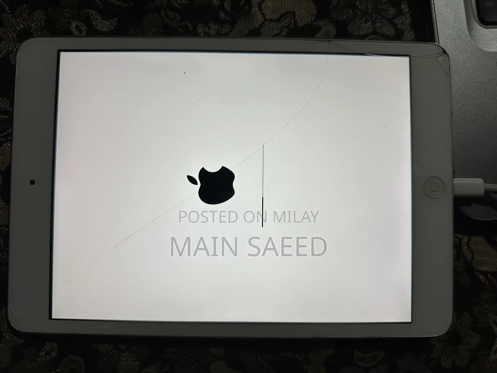 Apple iPad mini 2 16 GB Gray