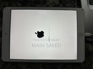 Apple iPad mini 2 16 GB Gray