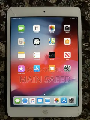 Apple iPad mini 2 16 GB Gray