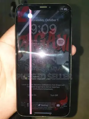 Apple iPhone X Smartphone with Original Features