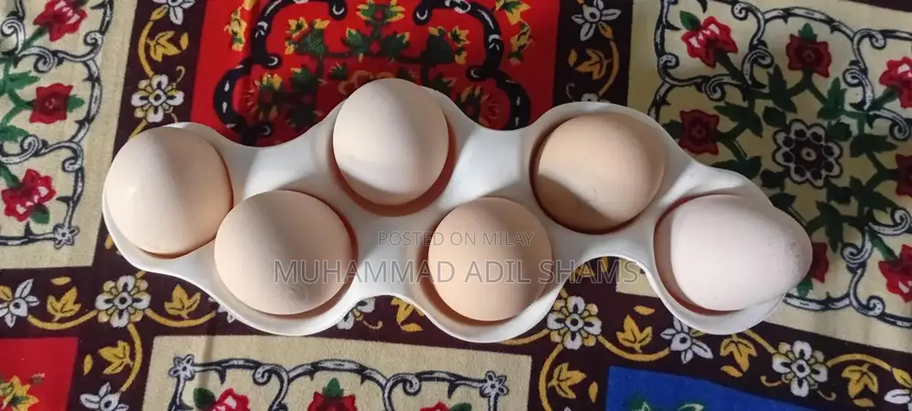 Fresh Desi Rooster and Farm Eggs - Healthy Poultry