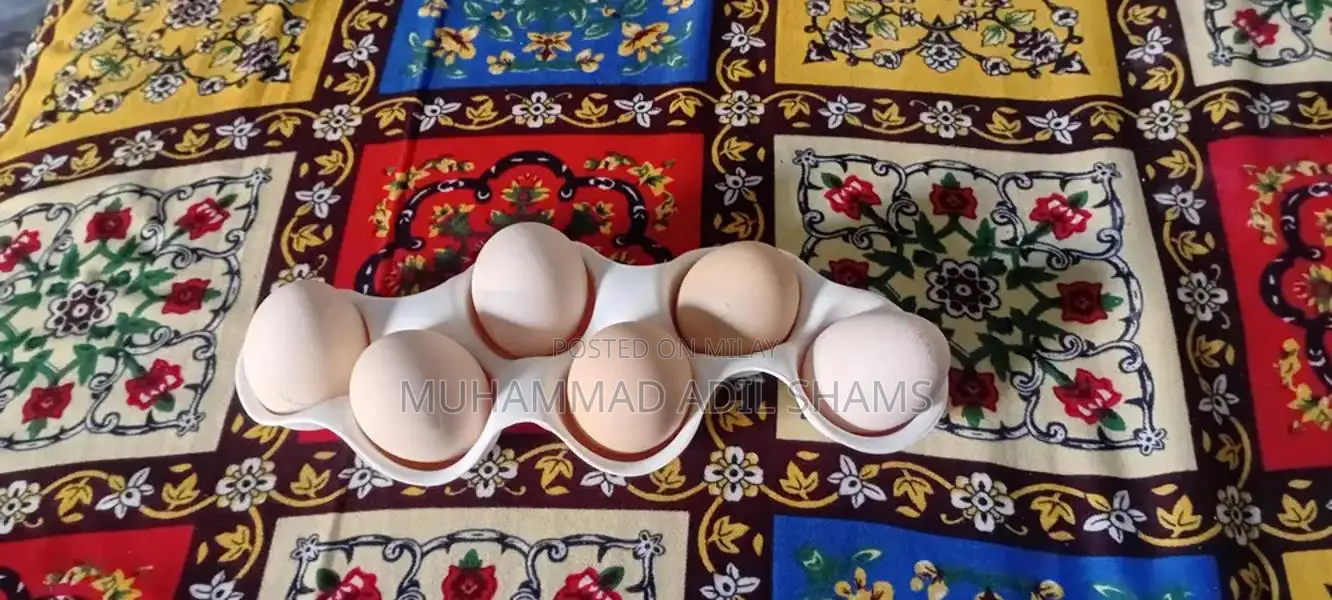 Fresh Desi Rooster and Farm Eggs - Healthy Poultry