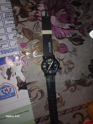 Elegant Silver POMA Wristwatch - Sophisticated Timepiece Design