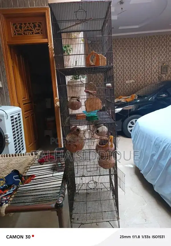 Cage Bird Accessory for Serious Breeders and Enthusiasts