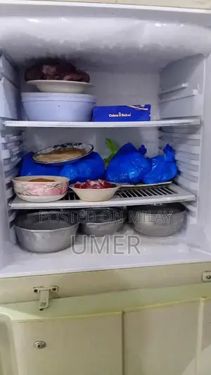 Large Pel Refrigerator - Spacious Jumbo Size Kitchen Appliance