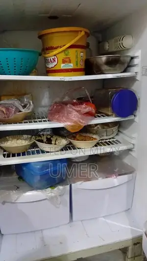 Large Pel Refrigerator - Spacious Jumbo Size Kitchen Appliance