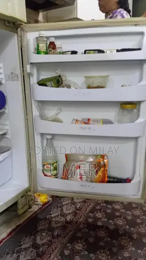 Large Pel Refrigerator - Spacious Jumbo Size Kitchen Appliance