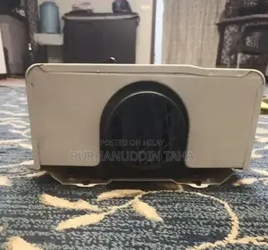 Insta Gas Automatic Low Pressure Instant Gas Water Heater