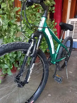 Photo - Diamond Back 24 Mountain Bicycle