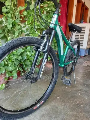 Diamond Back 24 Mountain Bicycle