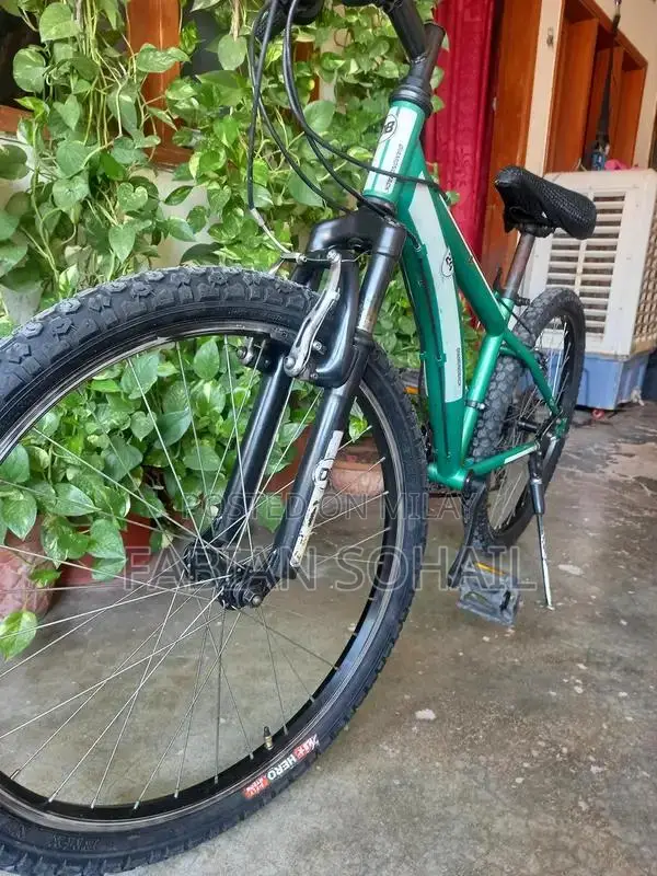 Diamond Back 24 Mountain Bicycle
