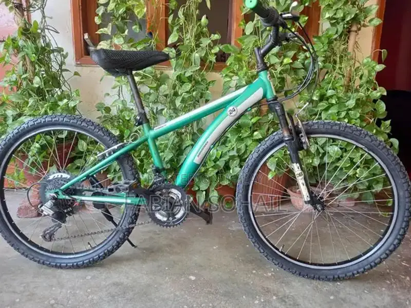 Diamond Back 24 Mountain Bicycle