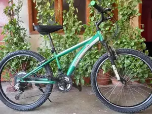 Diamond Back 24 Mountain Bicycle
