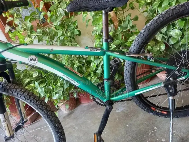 Diamond Back 24 Mountain Bicycle