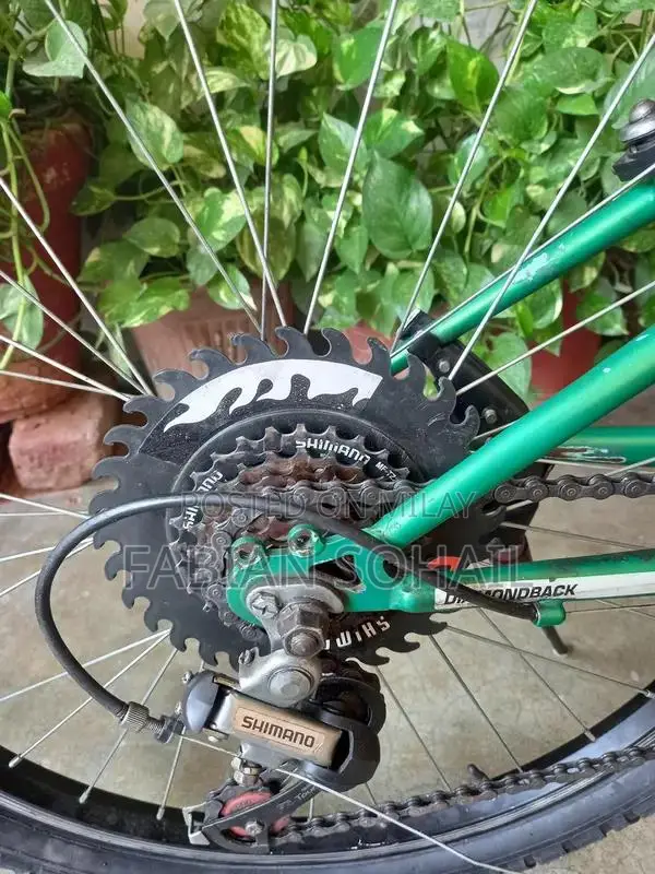 Diamond Back 24 Mountain Bicycle