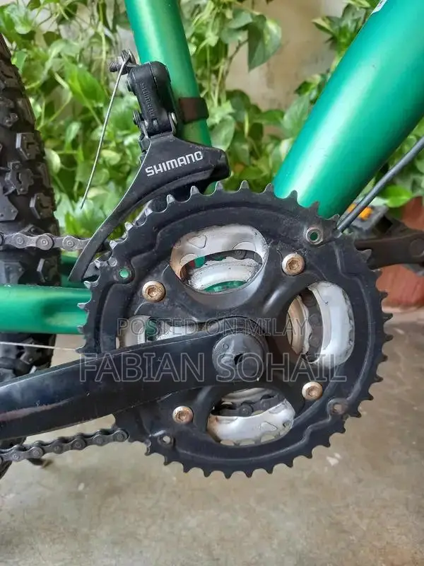 Diamond Back 24 Mountain Bicycle