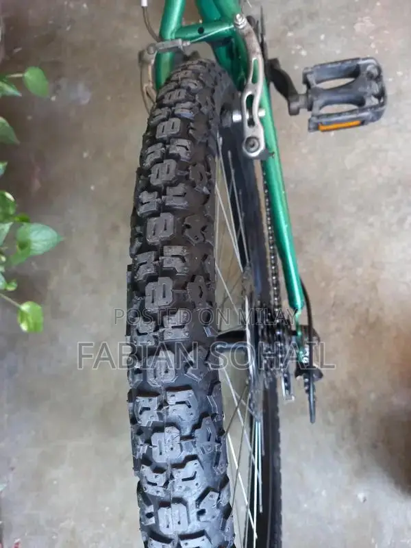 Diamond Back 24 Mountain Bicycle