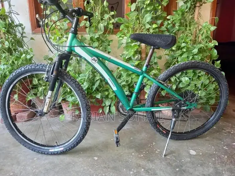 Diamond Back 24 Mountain Bicycle