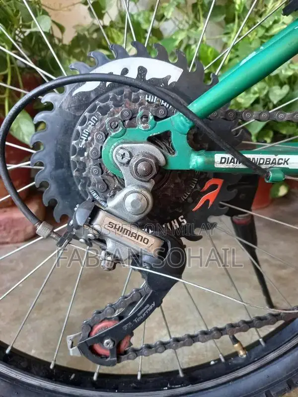 Diamond Back 24 Mountain Bicycle