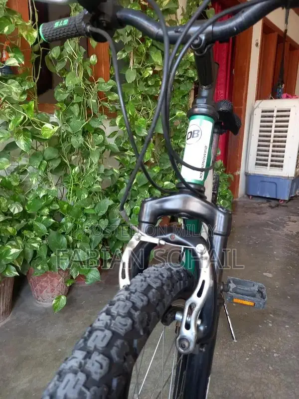 Diamond Back 24 Mountain Bicycle