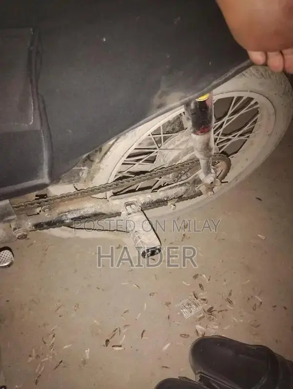 2009 Unique Vehicle Paperwork and Book