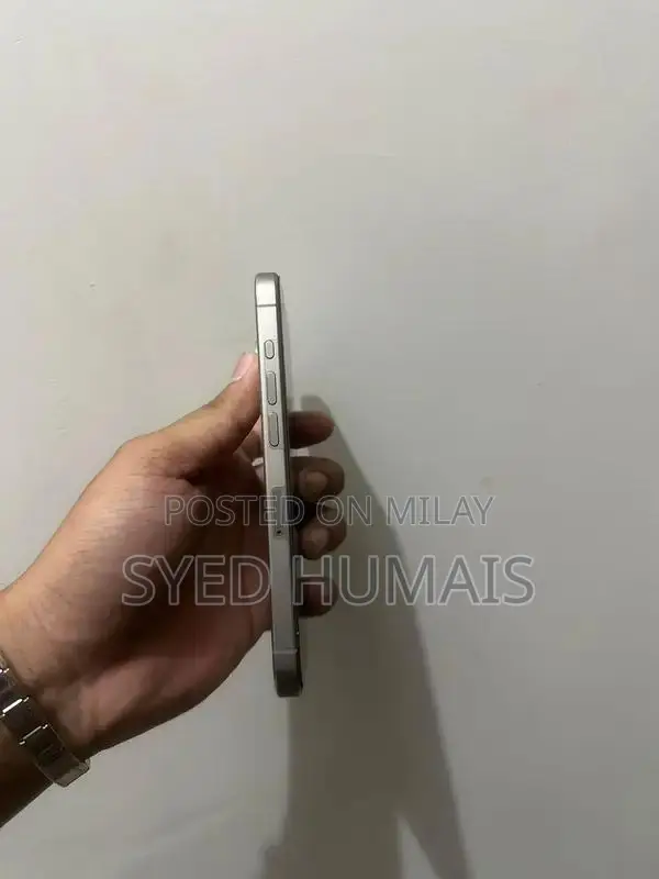 Pro-Level Smartphone: Titanium, Dual SIM, High Performance