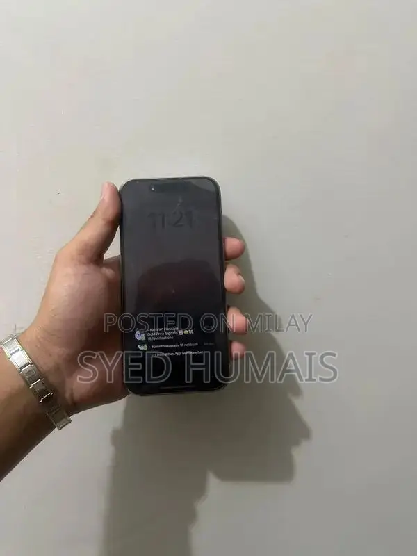 Pro-Level Smartphone: Titanium, Dual SIM, High Performance