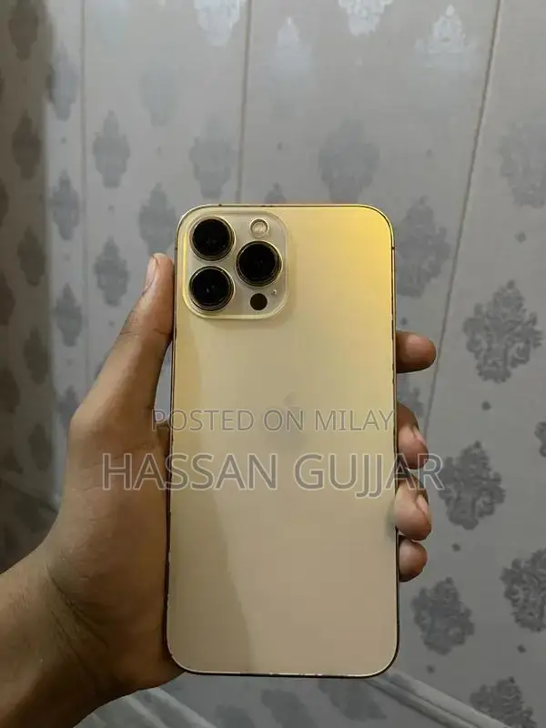 iPhone 13 Pro Max Factory Unlocked Golden Smartphone
