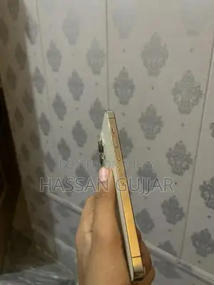 iPhone 13 Pro Max Factory Unlocked Golden Smartphone