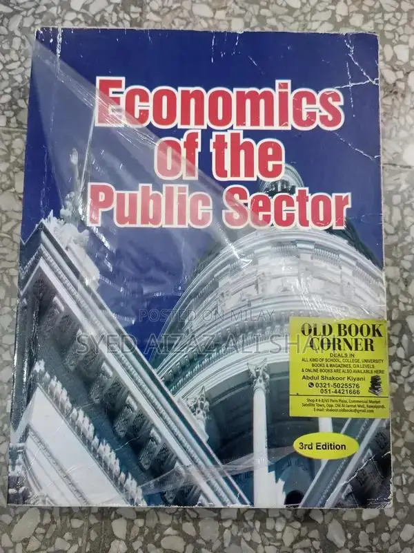 Economics of the Public Sector: Academic Economics Textbook