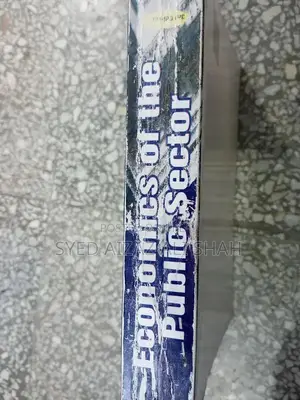 Economics of the Public Sector: Academic Economics Textbook