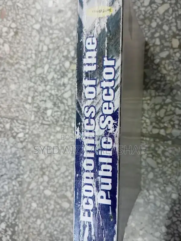 Economics of the Public Sector: Academic Economics Textbook