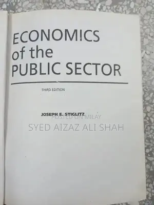 Economics of the Public Sector: Academic Economics Textbook