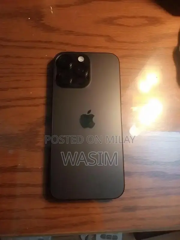 Apple iPhone Pro Max 256GB Black Smartphone