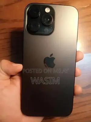 Apple iPhone Pro Max 256GB Black Smartphone