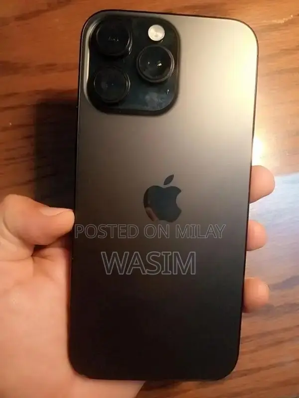 Apple iPhone Pro Max 256GB Black Smartphone