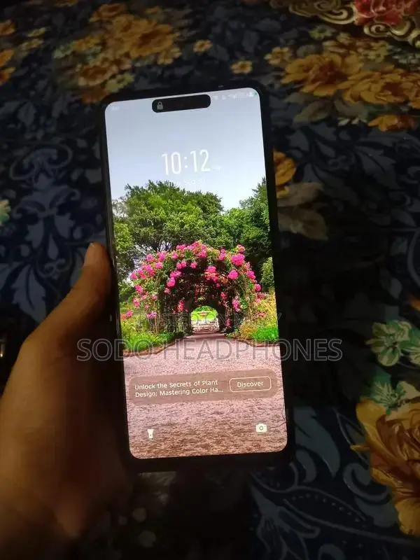 Home Used Smartphone with Basic Features