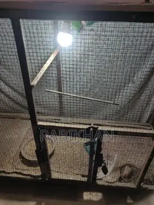 High-Quality Animal Cage Suitable for Birds and Small Pets