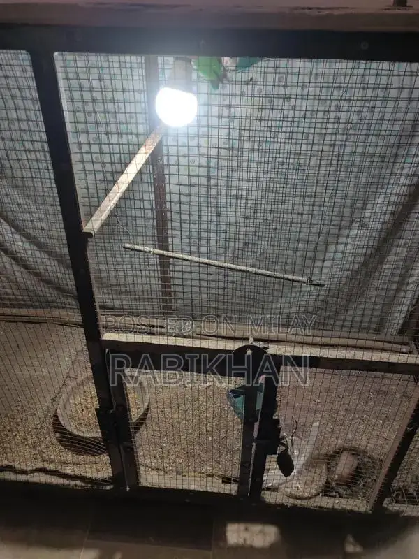 High-Quality Animal Cage Suitable for Birds and Small Pets