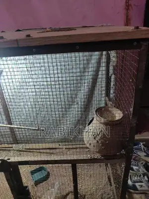 High-Quality Animal Cage Suitable for Birds and Small Pets