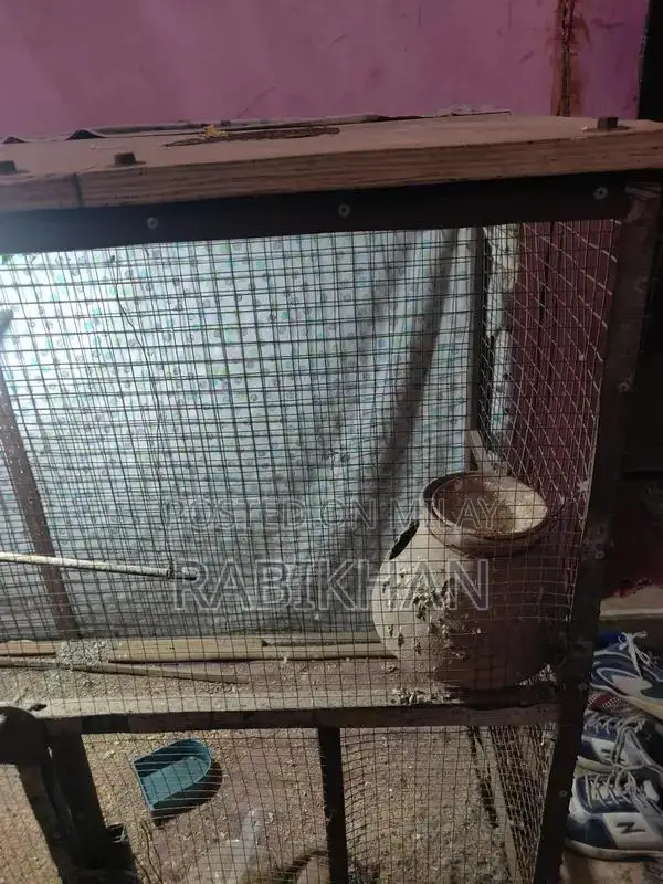 High-Quality Animal Cage Suitable for Birds and Small Pets