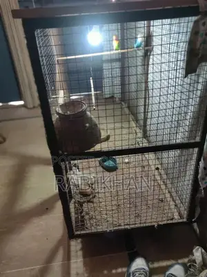 High-Quality Animal Cage Suitable for Birds and Small Pets