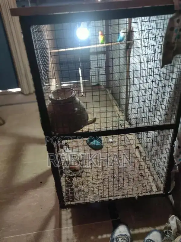 High-Quality Animal Cage Suitable for Birds and Small Pets