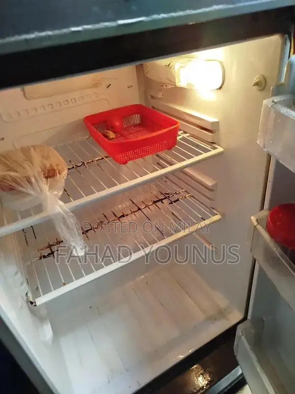 Pell 14 cu. ft. Refrigerator - Lightly Used