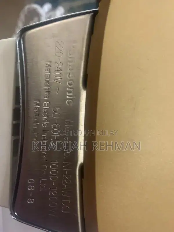 Panasonic Japanese Professional Steam Iron