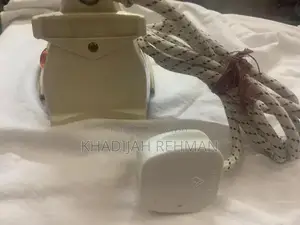 Panasonic Japanese Professional Steam Iron