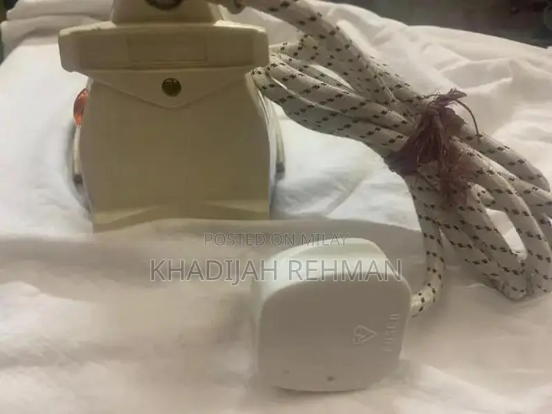 Panasonic Japanese Professional Steam Iron