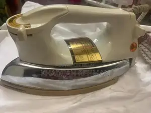 Panasonic Japanese Professional Steam Iron