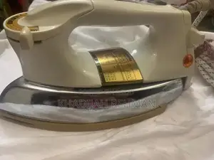 Panasonic Japanese Professional Steam Iron